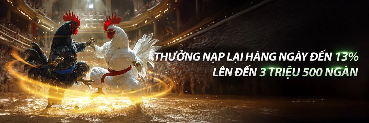 Đấu trường đá gà trực tuyến mayclup nhà cái với những chiến kê dũng mãnh và không khí sôi động